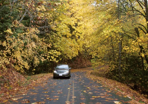 Autumn Preparedness Tips for Your Vehicle
